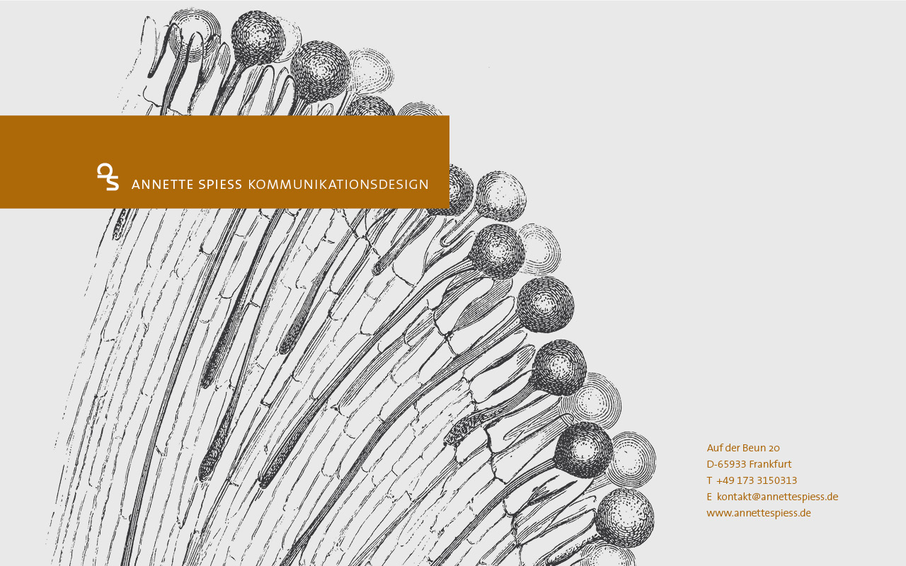 Annette Spiess Kommunikationsdesign, Frankfurt. Gute Gestaltung für Ihr Unternehmen.